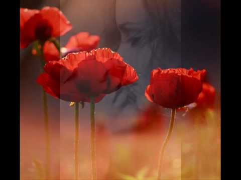 Buddha Bar VI Touch Go Straight To.Number One