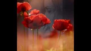 Buddha Bar VI Touch Go Straight To.Number One