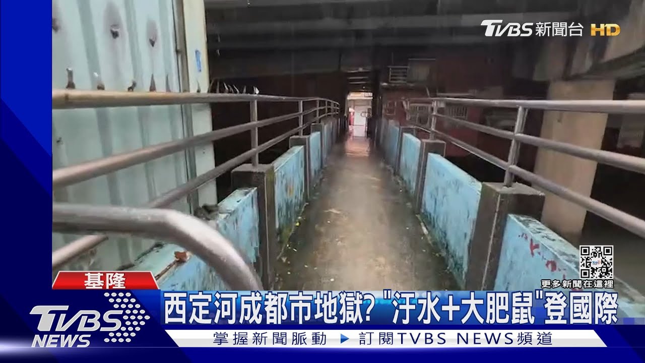 西定河成都市地獄? 「汙水+大肥鼠」登國際