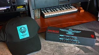 Video thumbnail for Walrus Audio Phoenix Installation With Pedaltrain Novo 24 by Andrew Taylor