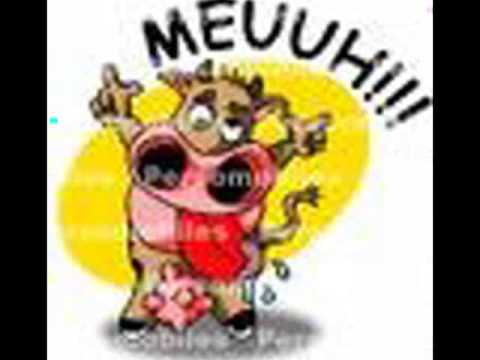 la vache elle est barjo