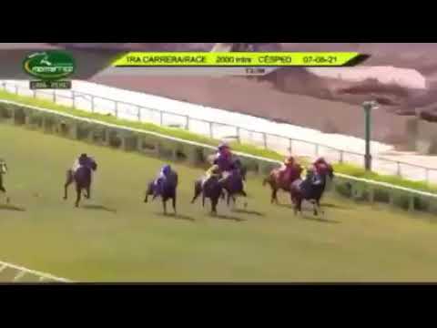 HIPISMO DE LUTO, MUERE JINETE VENEZOLANO