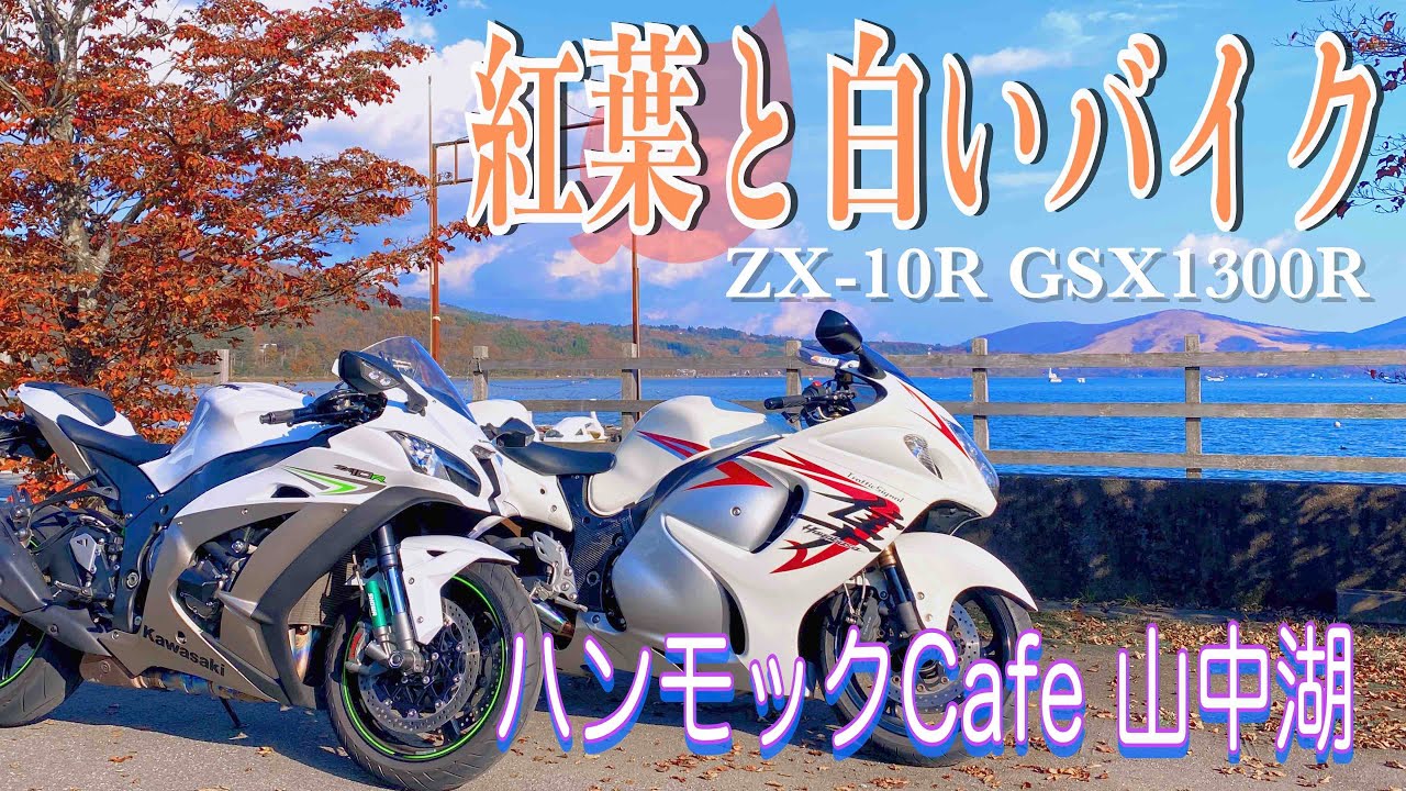 【TS Motovlog #140】紅葉と白いバイク 山中湖のハンモックカフェ ZX-10R GSX1300R 隼 　TrafficSignal トラシグ 【モトブログ】