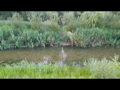 Râul Milcov în zona comunei Golești Vrancea