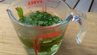 How To Cleanse Your Kidneys Almost Instantly Using This Natural Home Drink