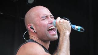 Bridge To Grace: Weapon Taste of Madison 2016