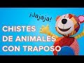 Chistes De Animales Cortos Muy Divertidos Para Niños