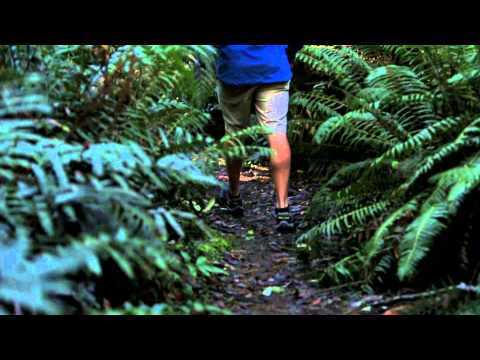 The Bruny Island Long Weekend