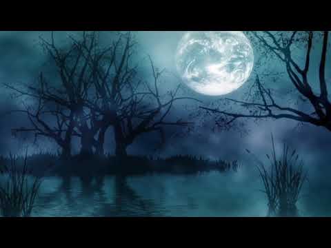Richard Noll ~ Nightfall Video | Hauntingly Beautiful Instrumental Music