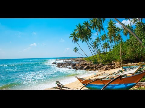 10 Best Beaches in Sri Lanka   East South West Coast Tropical Escape #2