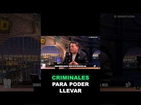 Imputabilidad desde los 14 anos Tadeo Garcia Zalazar explico como Mendoza adecua su sistema