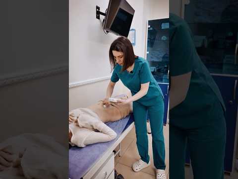 Один день - сотні рішень. Акушер-гінеколог