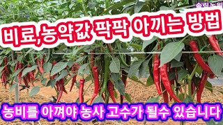 비료,농약값 팍팍 아끼는 방법 농비를아켜야 진정한 농사고수 고추농사 잘짓는방법 진딧물 담배나방,총채벌레 흰가…