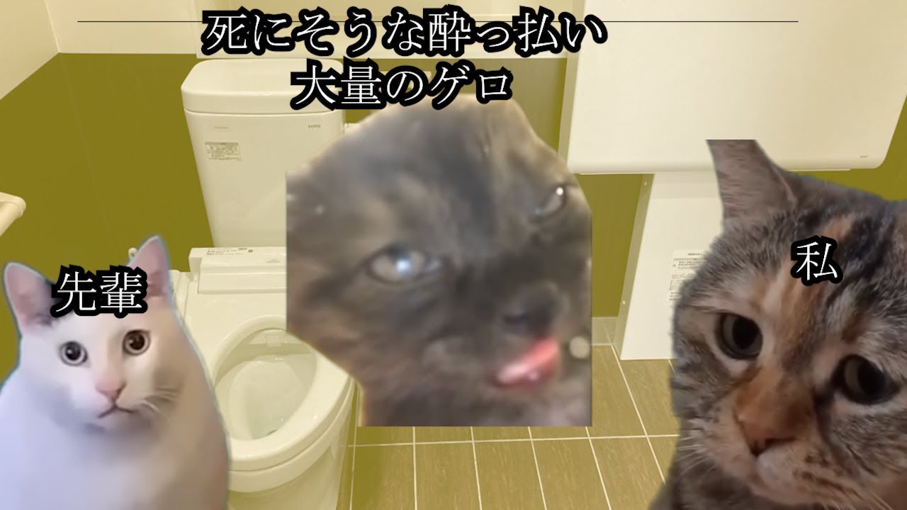 コンビニ夜勤フリーターが大量のゲロを掃除した話。#猫ミーム