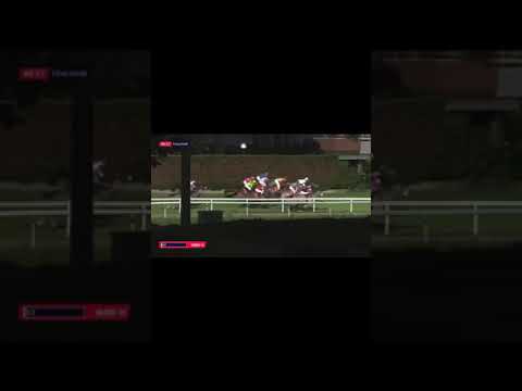 المهر(عابس) يفوز بجائزة جلفور للخيل العربية