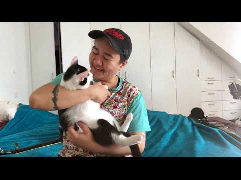 Preston (A Liam Wilhelmina Song) - Original