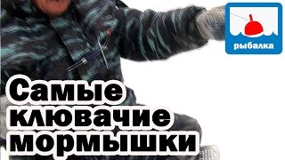 Ловля на безмотылку зимой секреты