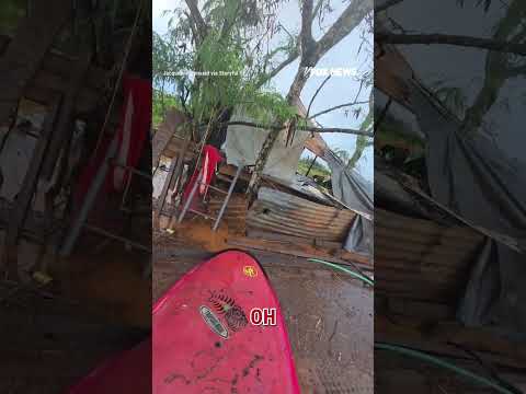 HEROIC RESPONSE: A good Samaritan springs into action to rescue dogs stranded #dog #shorts