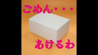 こんなん開けるしかないやん！→箱