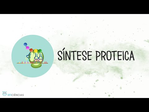 Síntese Proteica- Biologia e Geologia 11ºano