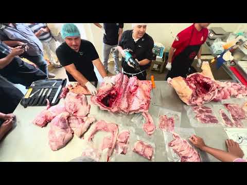 Cortes en carne de cerdo/ curso de corte de cerdo 