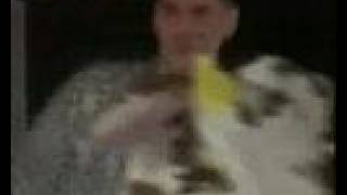 The Brilliant Corners - Brian Rix