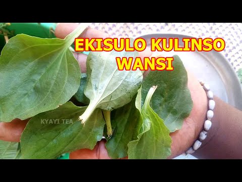 Ekisulo Kyowansi ku Linso