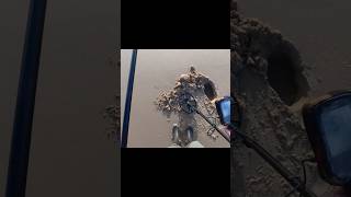 Minelab Manticore : première trouvaille de la sortie et c’est de l’or ! #gold