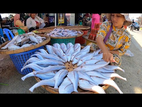 Fish Market Scene - The Biggest Wholesale Dried Fish in Phnom Penh City
