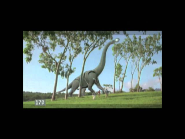 The First Images