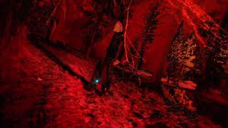 Kadr z teledysku Sleepy Hollow tekst piosenki Trippie Redd