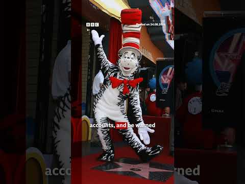 Boost Productivity With Cat In Hat Style