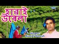Kumar Suresh Hits 2019 - Hawai Udela - Baganiya Geet - Prit Karle Sajani - Chaybaganiya Song New