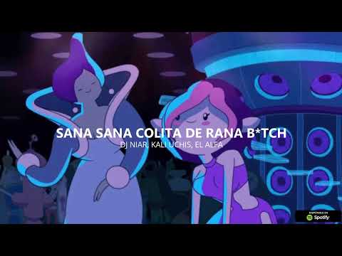 SANA SANA COLITA DE RANA B*TCH (REMIX TIKTOK) - DJ Niar, Kali Uchis, El Alfa, JT