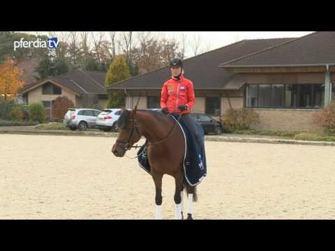 Richtige Hilfengebung bei jungen Pferden | Tipps von Ingrid Klimke | Frag Ingrid