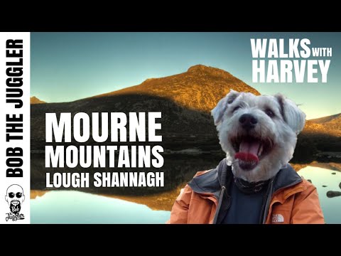 Walks with Harvey -  Lough Shannagh, Mourne Mountains