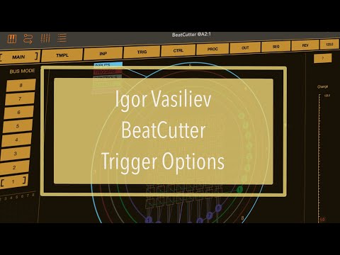Igor Vasiliev BeatCutter - Tutorial Part 8: Triggers, inputs, filter, length, attack, release
