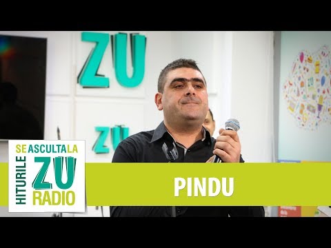 Pindu - Un trandafir crește la firida mea (Live Marea Unire ZU 2017)