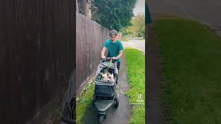 Pigs in a pram! #pig #pram #pigstroll