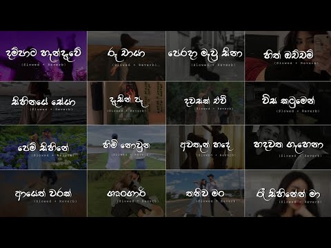තනියම ඉන්න වෙලාවට අහන්න ❤️🥺 Manoparakata (Slowed+Reverb) Best Sinhala Song Collection - Playlist 18