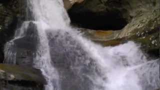 preview picture of video 'Incredible Cedar Falls, Hocking HIlls State Park, Logan, Ohio!'