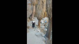Indian Canyon 7