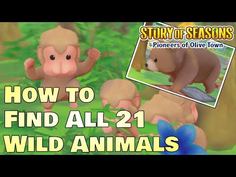 How to Find All 21 Wild Animals in Story of Seasons Pioneers of Olive Town