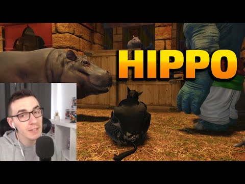 Best Beast Tribe In FFXIV - FFXIV Clips