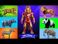 Safari Animal Sounds Song Nursery Rhyme For Kids Learn Animal Names And Sounds