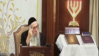 הרה"ג הרב וועכטר שליט"א ד' תשרי תשפ"ד - מאמר הרבי הריי"צ ד"ה שובה ישראל חלק א (הרב אברהם מנחם מענדל וכטר) - התמונה מוצגת ישירות מתוך אתר האינטרנט יוטיוב. זכויות היוצרים בתמונה שייכות ליוצרה. קישור קרדיט למקור התוכן נמצא בתוך דף הסרטון