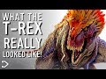 What Did The T-Rex REALLY Look Like?