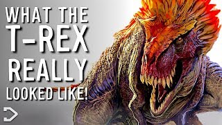 What Did The T-Rex REALLY Look Like?