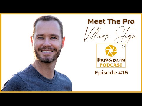 Pangolin Wildlife Photography and The Safari Expert