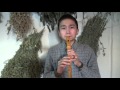 House of Rising Sun Дом Восходящего Солнца Animals recorder ...